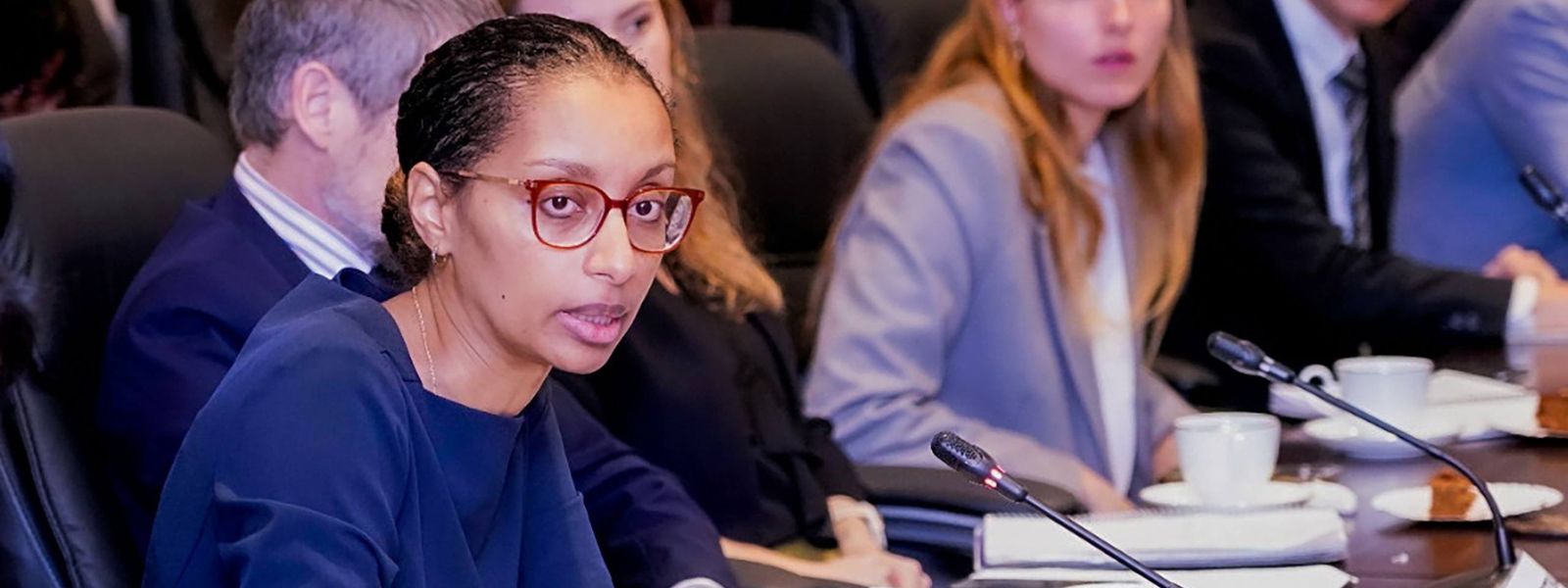 Sixth IMF Tranche of $350M In Two Week, Says PMD